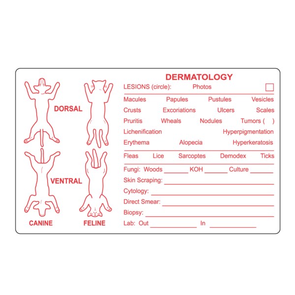 Dematology Canine Feline Label 2-1/2" x 4" White w/Red